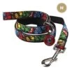 For Fan Pets - Laisse Marvel En Nylon Pour Chien - M -Magasin De Fournitures Pour Chiens De Compagnie 63798
