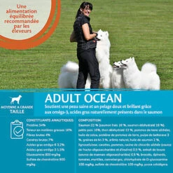 Wellness CORE - Croquettes Océan Saumon Et Thon Pour Chien - 1,8Kg -Magasin De Fournitures Pour Chiens De Compagnie 64078