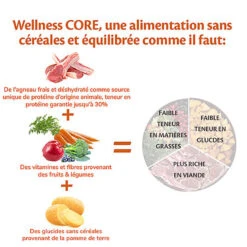 Wellness CORE - Croquettes à L'Agneau Pour Chien De Toutes Races - 1,8Kg -Magasin De Fournitures Pour Chiens De Compagnie 64196