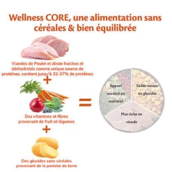 Wellness CORE - Croquettes Original Dinde Et Poulet Pour Chien De Petite Race - 5Kg -Magasin De Fournitures Pour Chiens De Compagnie 64218