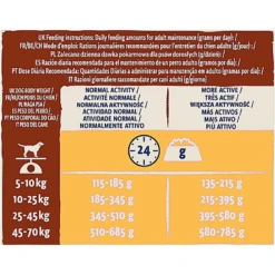 Dog Chow - Croquettes Mature Au Poulet Pour Chien - 14Kg -Magasin De Fournitures Pour Chiens De Compagnie 64249