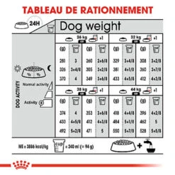 Royal Canin - Croquettes Maxi Adult Digestive Care Pour Chien - 12Kg -Magasin De Fournitures Pour Chiens De Compagnie 64794