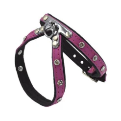 Comme Un Roi - Harnais Cuir So Funky Rose Pour Chien - S