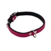 Comme Un Roi - Collier Cuir So Chic Rose / Noir Pour Chien - L 2 Comme Un Roi - Collier Cuir So Chic Rose / Noir Pour Chien - L -Magasin De Fournitures Pour Chiens De Compagnie 64909