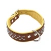 Comme Un Roi - Collier Cuir Clouté So Chic Caramel Pour Chien - L -Magasin De Fournitures Pour Chiens De Compagnie 64914