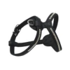 Comme Un Roi - Harnais Bulldog Cuir So Chic Noir Pour Chien - XS