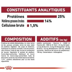 Royal Canin - Croquettes Medium Adulte 7+ Pour Chien -Magasin De Fournitures Pour Chiens De Compagnie 66801