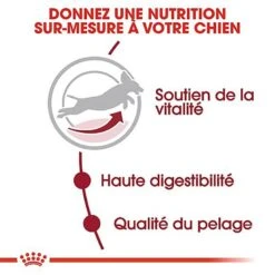 Royal Canin - Croquettes Medium Adulte 7+ Pour Chien -Magasin De Fournitures Pour Chiens De Compagnie 66802