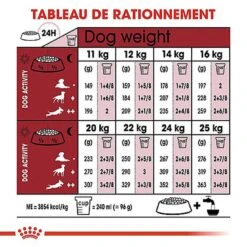 Royal Canin - Croquettes Medium Adulte 7+ Pour Chien -Magasin De Fournitures Pour Chiens De Compagnie 66803