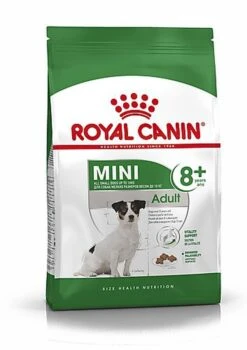 Royal Canin - Croquettes Mini 8+ Pour Chien Adulte