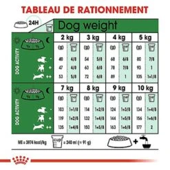 Royal Canin - Croquettes Mini 8+ Pour Chien Adulte -Magasin De Fournitures Pour Chiens De Compagnie 66899