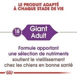 Royal Canin - Croquettes Giant Adult Pour Chien - 15Kg 11 Royal Canin - Croquettes Giant Adult Pour Chien - 15Kg -Magasin De Fournitures Pour Chiens De Compagnie 66952
