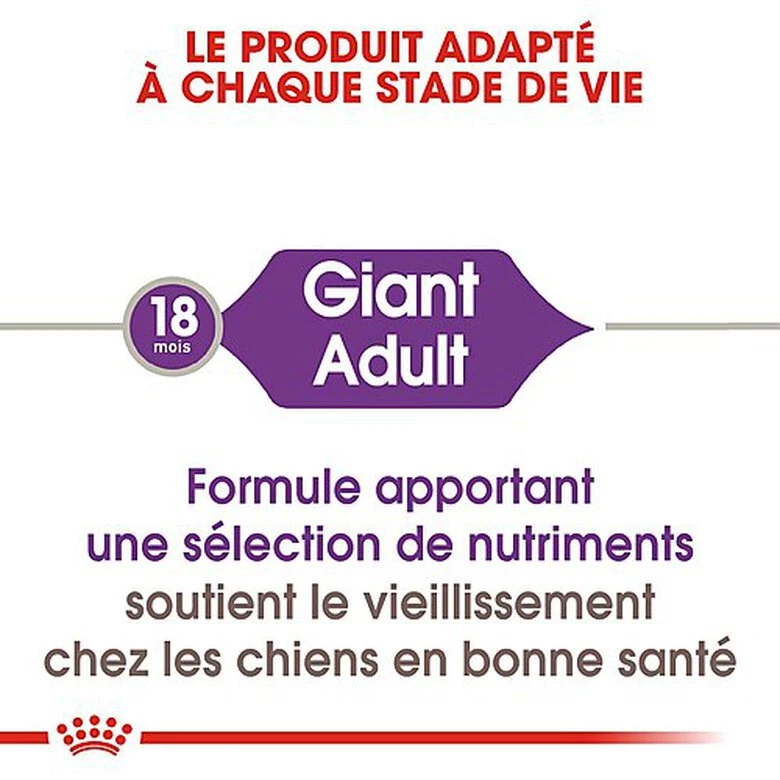 Royal Canin - Croquettes Giant Adult Pour Chien - 15Kg 5 Royal Canin - Croquettes Giant Adult Pour Chien - 15Kg – Image 3
