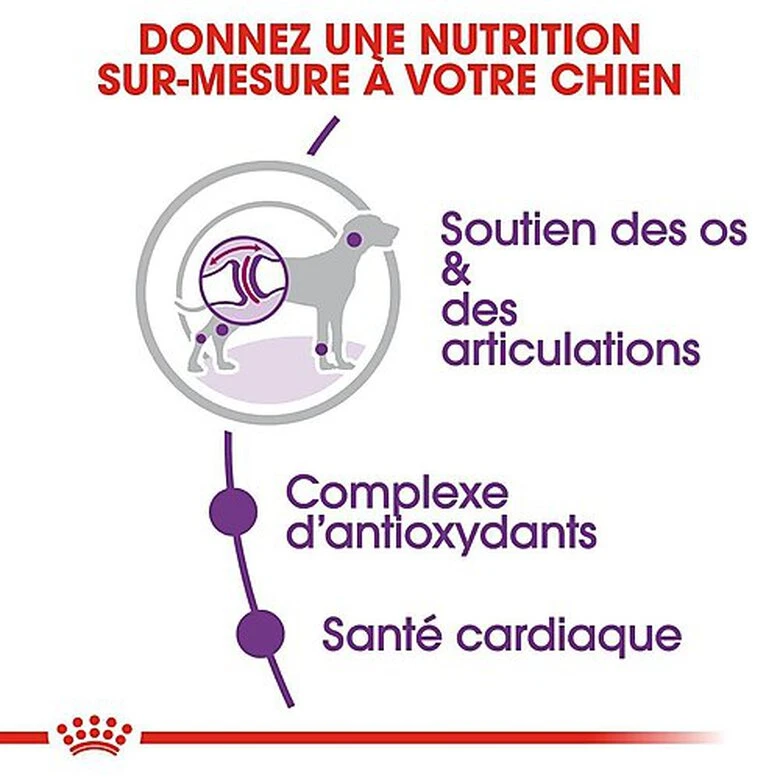 Royal Canin - Croquettes Giant Adult Pour Chien - 15Kg 6 Royal Canin - Croquettes Giant Adult Pour Chien - 15Kg – Image 4