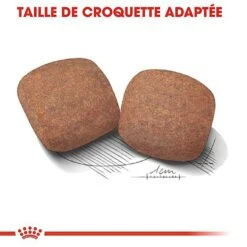 Royal Canin - Croquettes Giant Adult Pour Chien - 15Kg 13 Royal Canin - Croquettes Giant Adult Pour Chien - 15Kg -Magasin De Fournitures Pour Chiens De Compagnie 66954