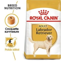 Royal Canin - Croquettes Labrador Pour Chien Adulte -Magasin De Fournitures Pour Chiens De Compagnie 67030