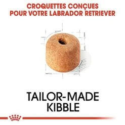 Royal Canin - Croquettes Labrador Pour Chien Adulte -Magasin De Fournitures Pour Chiens De Compagnie 67031