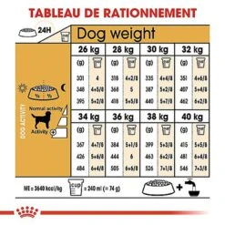 Royal Canin - Croquettes Labrador Pour Chien Adulte -Magasin De Fournitures Pour Chiens De Compagnie 67033