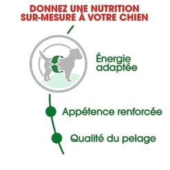 Royal Canin - Croquettes Mini Adult Pour Chien 14 Royal Canin - Croquettes Mini Adult Pour Chien -Magasin De Fournitures Pour Chiens De Compagnie 67050