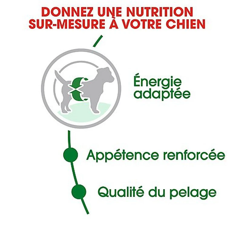 Royal Canin - Croquettes Mini Adult Pour Chien 7 Royal Canin - Croquettes Mini Adult Pour Chien – Image 5