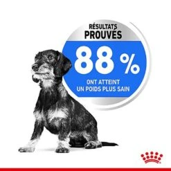 Royal Canin - Croquettes Mini Light Weight Care Pour Chien - 8Kg -Magasin De Fournitures Pour Chiens De Compagnie 67070