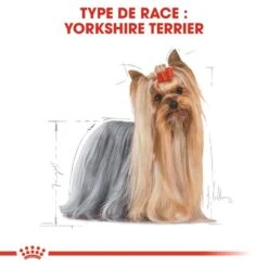 Royal Canin - Croquettes Yorkshire Terrier Pour Chien Adulte -Magasin De Fournitures Pour Chiens De Compagnie 67075