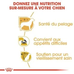 Royal Canin - Croquettes Yorkshire Terrier Pour Chien Adulte -Magasin De Fournitures Pour Chiens De Compagnie 67079