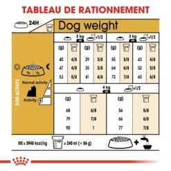 Royal Canin - Croquettes Yorkshire Terrier Pour Chien Adulte -Magasin De Fournitures Pour Chiens De Compagnie 67081