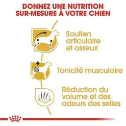 Royal Canin - Croquettes Teckel Pour Chien Adulte - 1,5Kg 8 Royal Canin - Croquettes Teckel Pour Chien Adulte - 1,5Kg -Magasin De Fournitures Pour Chiens De Compagnie 67101