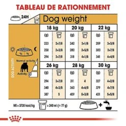 Royal Canin - Croquettes Bulldog Pour Chien Adulte -Magasin De Fournitures Pour Chiens De Compagnie 67122
