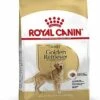 Royal Canin - Croquettes Golden Retriever Pour Chien Adulte