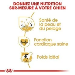 Royal Canin - Croquettes Golden Retriever Pour Chien Adulte 13 Royal Canin - Croquettes Golden Retriever Pour Chien Adulte -Magasin De Fournitures Pour Chiens De Compagnie 67282