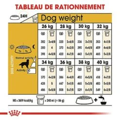 Royal Canin - Croquettes Golden Retriever Pour Chien Adulte 14 Royal Canin - Croquettes Golden Retriever Pour Chien Adulte -Magasin De Fournitures Pour Chiens De Compagnie 67283