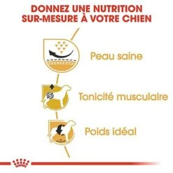 Royal Canin - Croquettes Carlin Pour Chien Adulte - 1,5Kg -Magasin De Fournitures Pour Chiens De Compagnie 67337