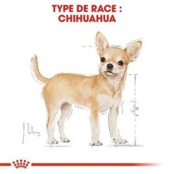 Royal Canin - Croquettes Chihuahua Pour Chien Adulte -Magasin De Fournitures Pour Chiens De Compagnie 67347