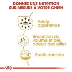 Royal Canin - Croquettes Chihuahua Pour Chien Adulte -Magasin De Fournitures Pour Chiens De Compagnie 67351