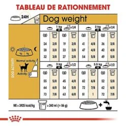 Royal Canin - Croquettes Chihuahua Pour Chien Adulte -Magasin De Fournitures Pour Chiens De Compagnie 67352