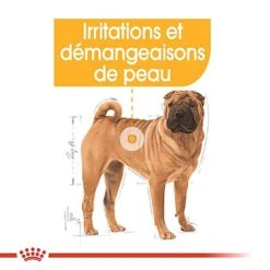 Royal Canin - Croquettes Medium Dermacomfort Pour Chien -Magasin De Fournitures Pour Chiens De Compagnie 67443