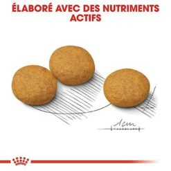 Royal Canin - Croquettes Medium Dermacomfort Pour Chien -Magasin De Fournitures Pour Chiens De Compagnie 67445