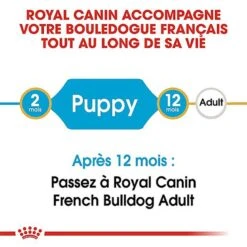 Royal Canin - Croquettes Bouledogue Français Junior Pour Chiot -Magasin De Fournitures Pour Chiens De Compagnie 67465