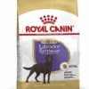 Royal Canin - Croquettes Labrador Pour Chien Stérilisé - 12Kg 1 Royal Canin - Croquettes Labrador Pour Chien Stérilisé - 12Kg -Magasin De Fournitures Pour Chiens De Compagnie 67584