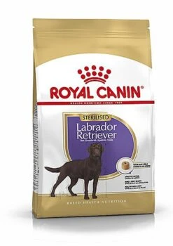 Royal Canin - Croquettes Labrador Pour Chien Stérilisé - 12Kg