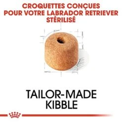 Royal Canin - Croquettes Labrador Pour Chien Stérilisé - 12Kg 12 Royal Canin - Croquettes Labrador Pour Chien Stérilisé - 12Kg -Magasin De Fournitures Pour Chiens De Compagnie 67587