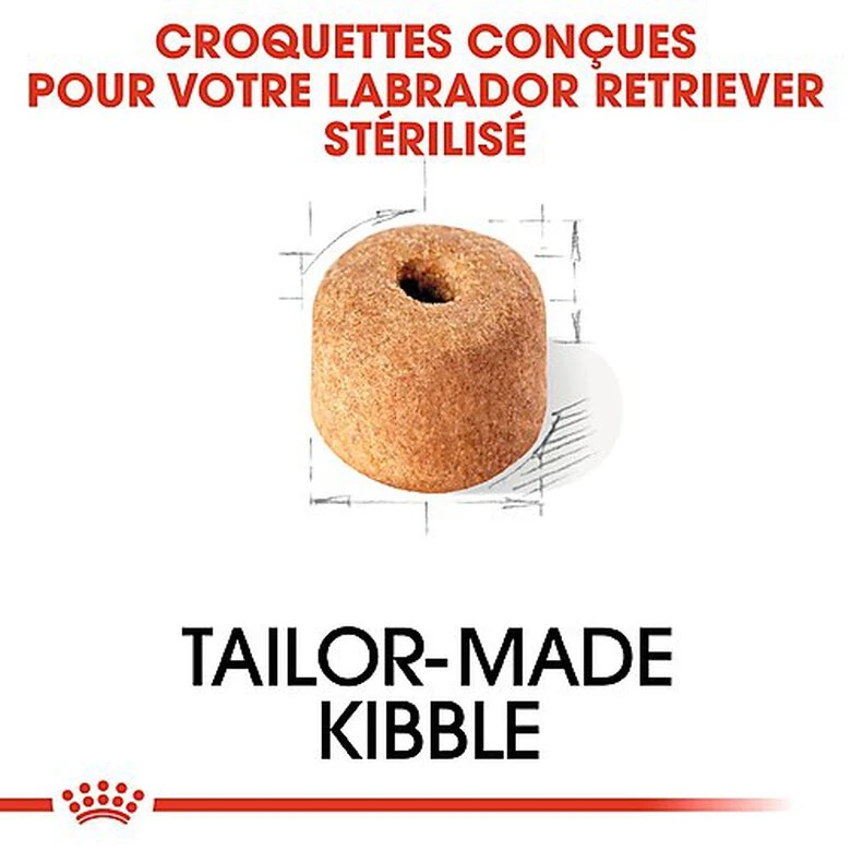 Royal Canin - Croquettes Labrador Pour Chien Stérilisé - 12Kg 6 Royal Canin - Croquettes Labrador Pour Chien Stérilisé - 12Kg – Image 4