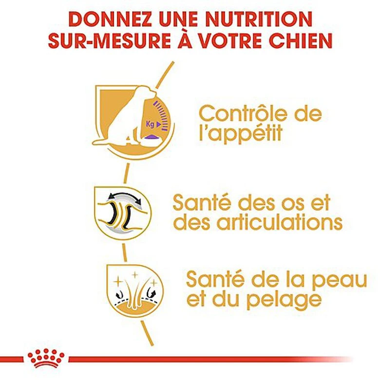 Royal Canin - Croquettes Labrador Pour Chien Stérilisé - 12Kg 7 Royal Canin - Croquettes Labrador Pour Chien Stérilisé - 12Kg – Image 5