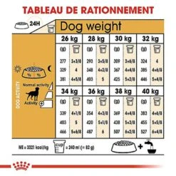 Royal Canin - Croquettes Labrador Pour Chien Stérilisé - 12Kg 14 Royal Canin - Croquettes Labrador Pour Chien Stérilisé - 12Kg -Magasin De Fournitures Pour Chiens De Compagnie 67589