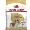 Royal Canin - Croquettes Cavalier King Charles Pour Chien Adulte 1 Royal Canin - Croquettes Cavalier King Charles Pour Chien Adulte -Magasin De Fournitures Pour Chiens De Compagnie 67591