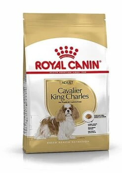 Nouvelles Arrivées 16 Royal Canin - Croquettes Cavalier King Charles Pour Chien Adulte