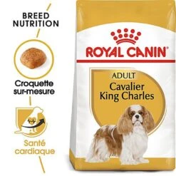 Royal Canin - Croquettes Cavalier King Charles Pour Chien Adulte -Magasin De Fournitures Pour Chiens De Compagnie 67593