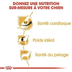 Royal Canin - Croquettes Cavalier King Charles Pour Chien Adulte -Magasin De Fournitures Pour Chiens De Compagnie 67595